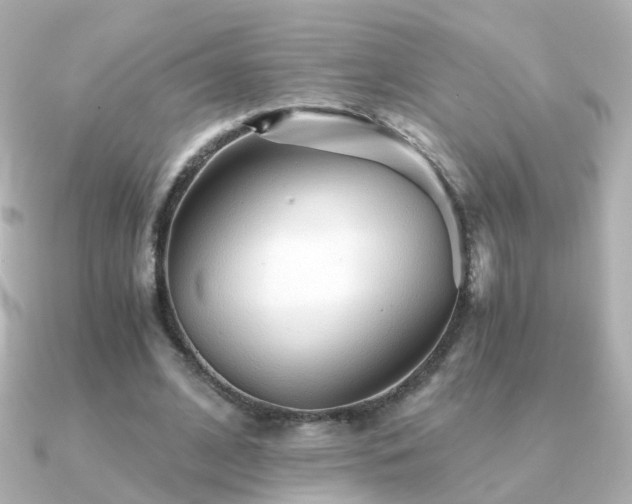 X0000091340584200708101445