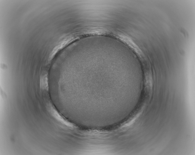X0000091340585200708101445
