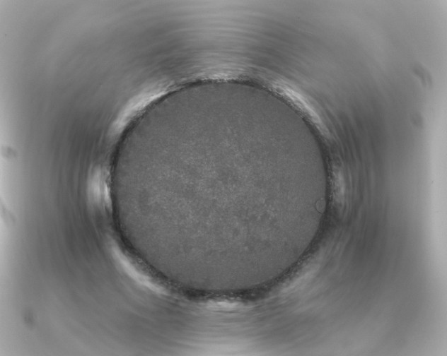 X0000091340586200708101445