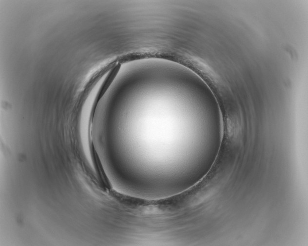 X0000091340588200708101445