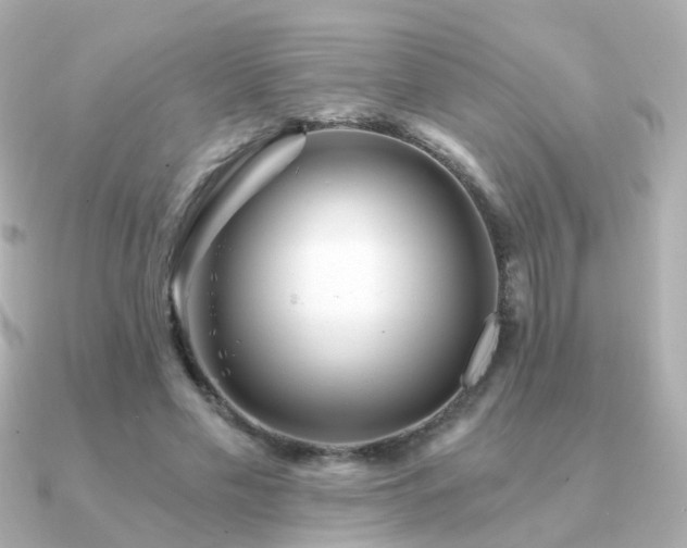X0000091340589200708101445