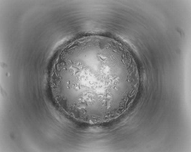 X0000091340591200708101445