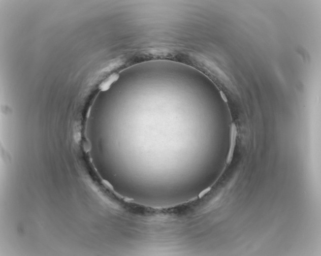 X0000091340593200708101445