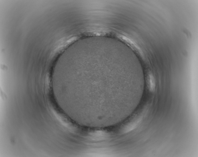 X0000091340594200708101445