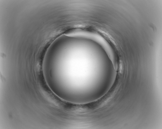 X0000091340597200708101445