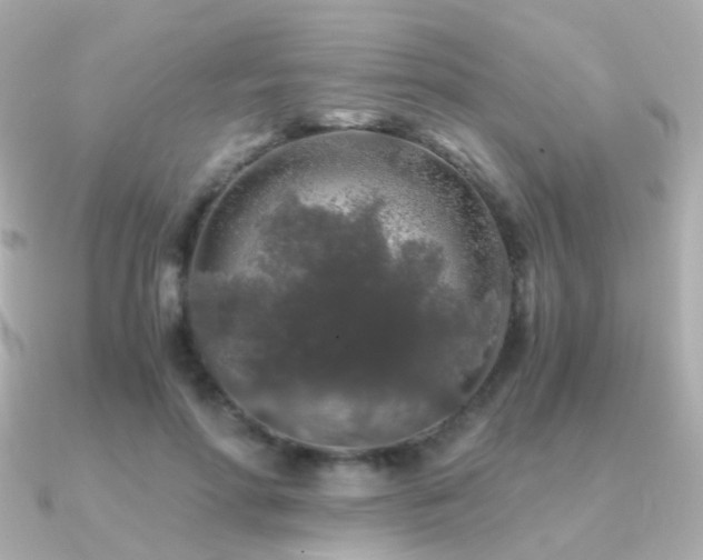X0000091340598200708101445