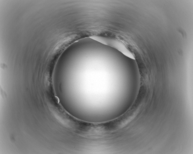 X0000091340599200708101445