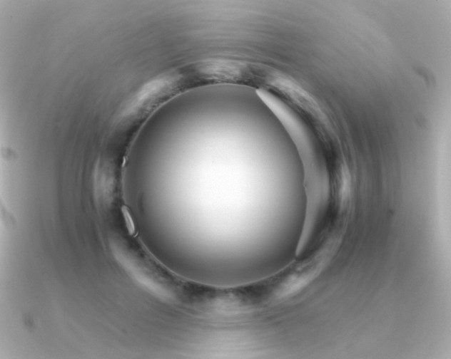 X0000091340600200708101445