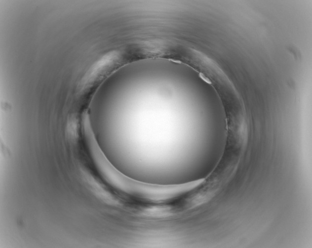 X0000091340601200708101445