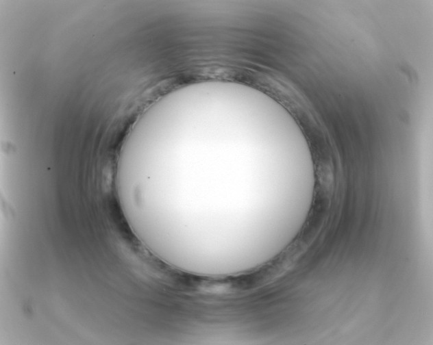 X0000091340602200708101445