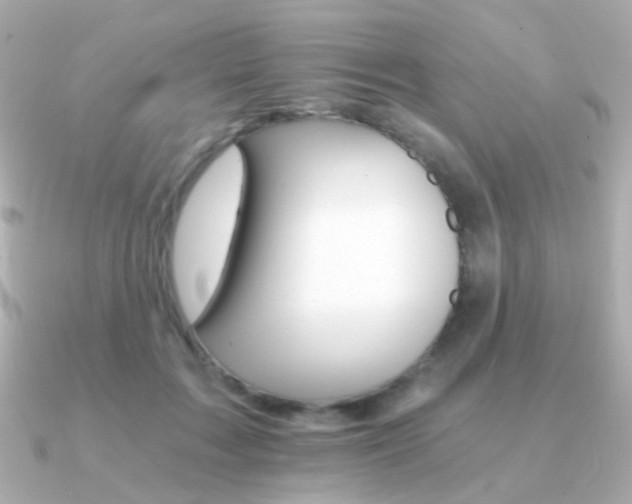 X0000091340603200708101445