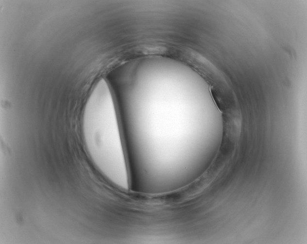 X0000091340604200708101445