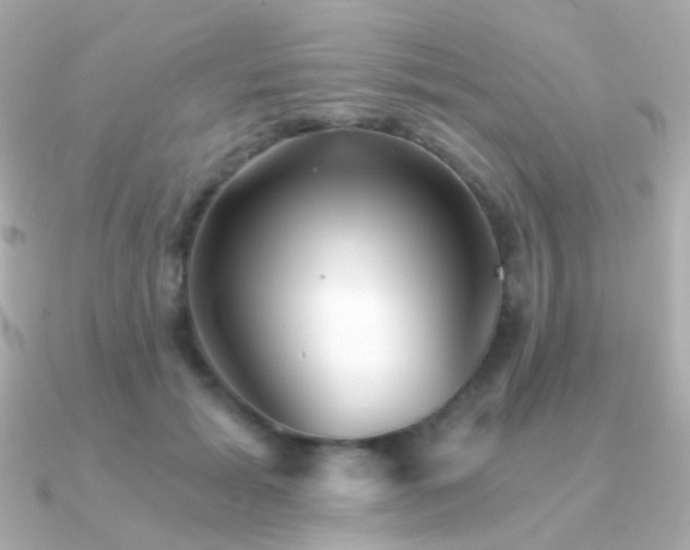 X0000091340605200708101445
