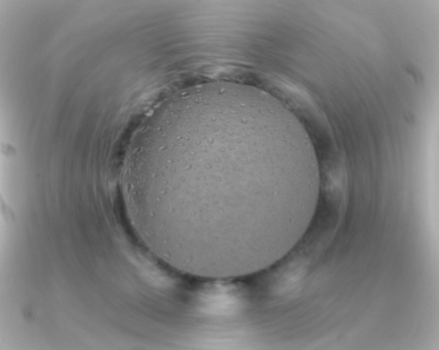 X0000091340607200708101445
