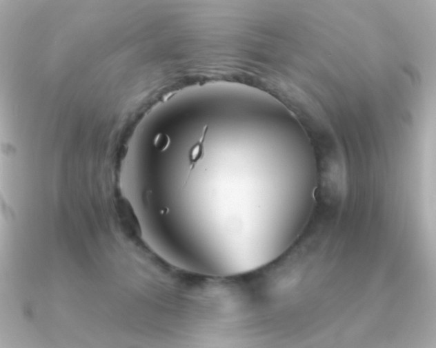 X0000091340608200708101445