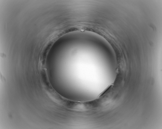 X0000091340611200708101445