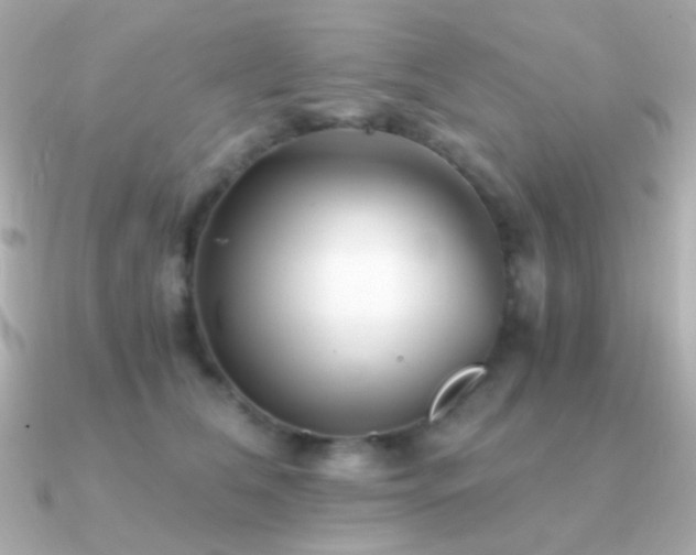 X0000091340612200708101445