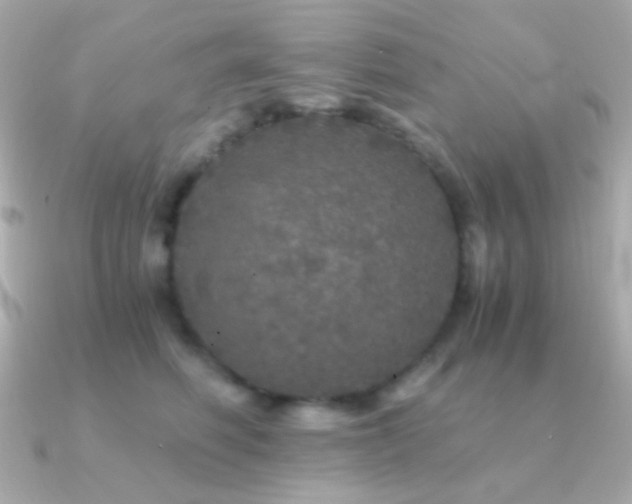 X0000091340614200708101445