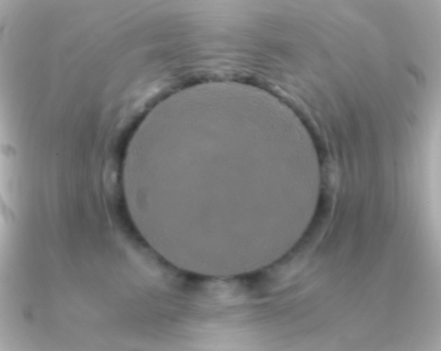X0000091340615200708101445