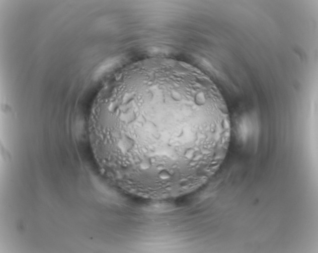 X0000091340619200708101445