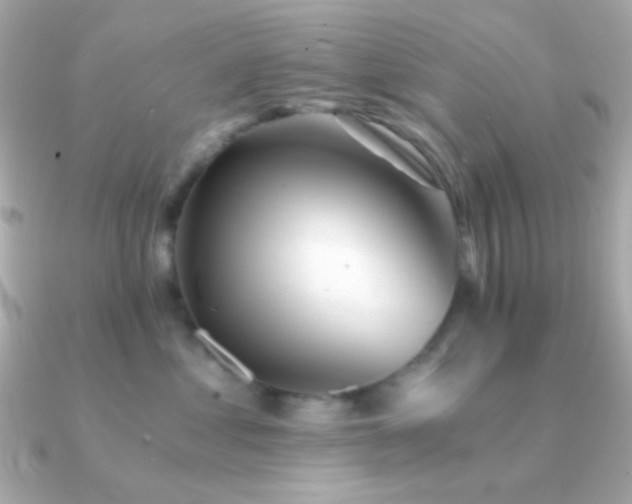 X0000091340621200708101445