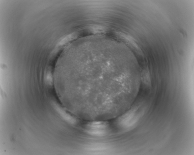 X0000091340622200708101445
