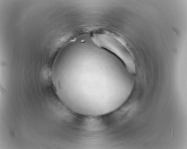 X0000091340624200708101445