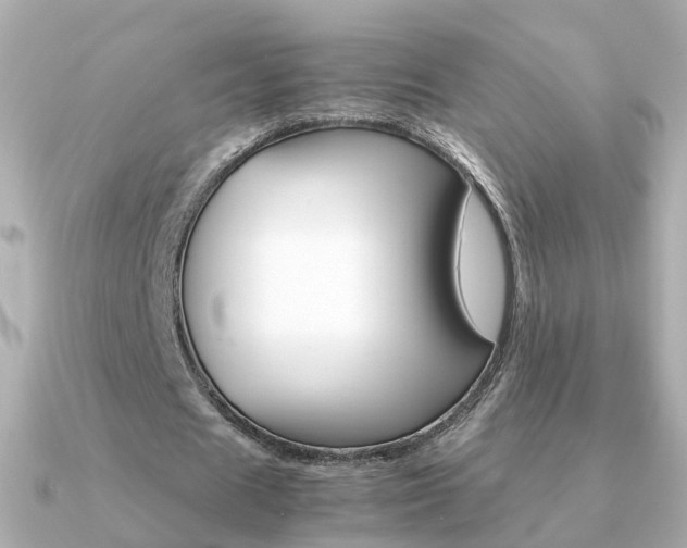 X0000091340625200708101444