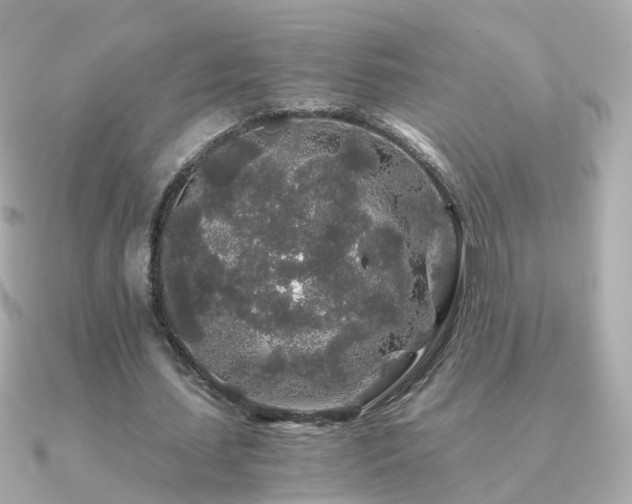 X0000091340627200708101444