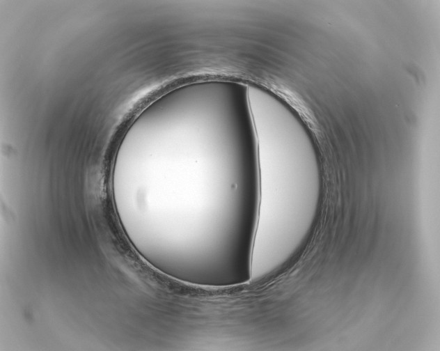 X0000091340628200708101444