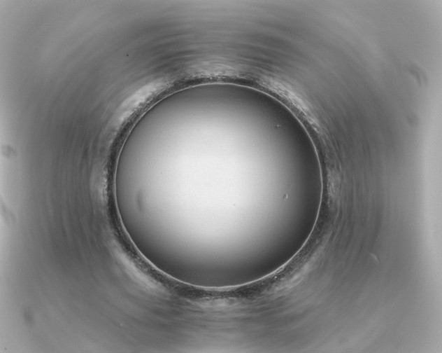 X0000091340629200708101444
