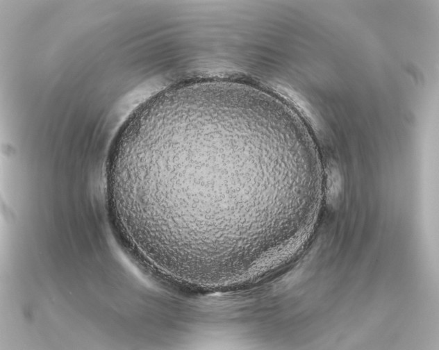 X0000091340630200708101444
