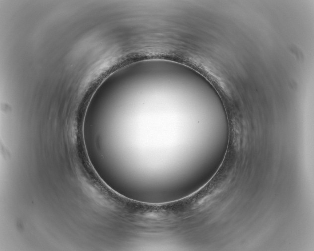 X0000091340631200708101444