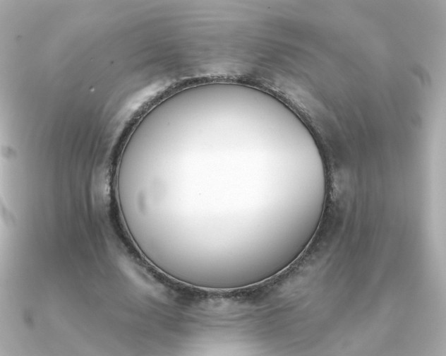 X0000091340632200708101444