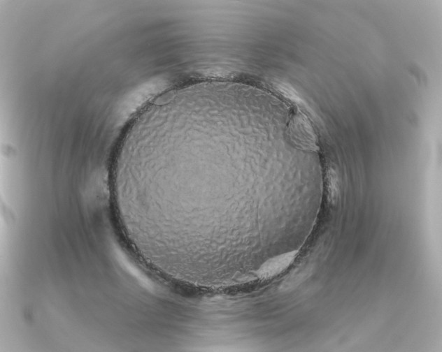 X0000091340634200708101444