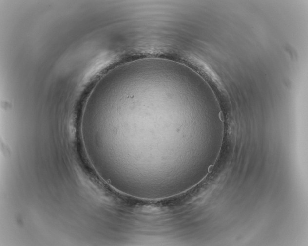 X0000091340635200708101444