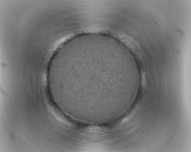 X0000091340636200708101444