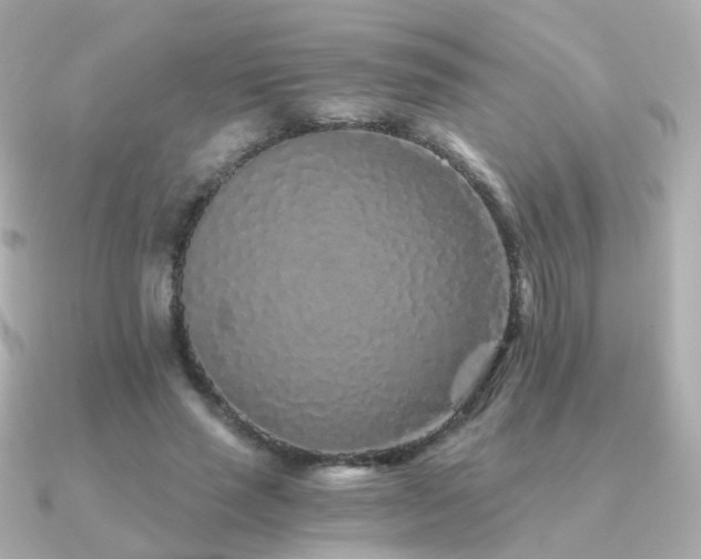 X0000091340637200708101444