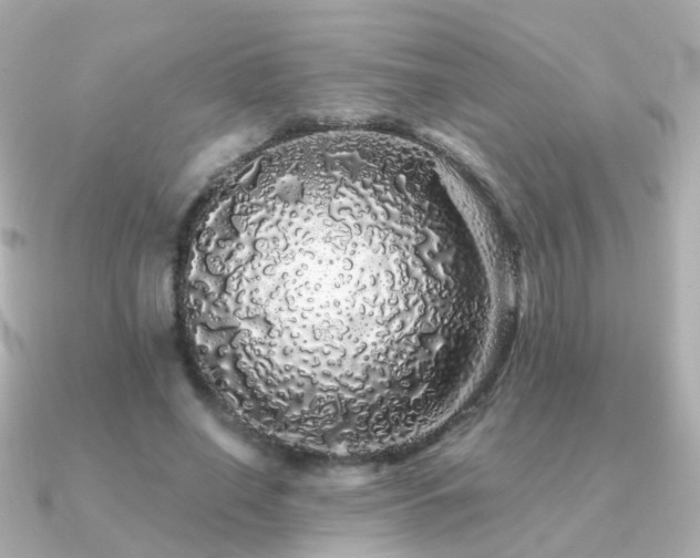 X0000091340638200708101444