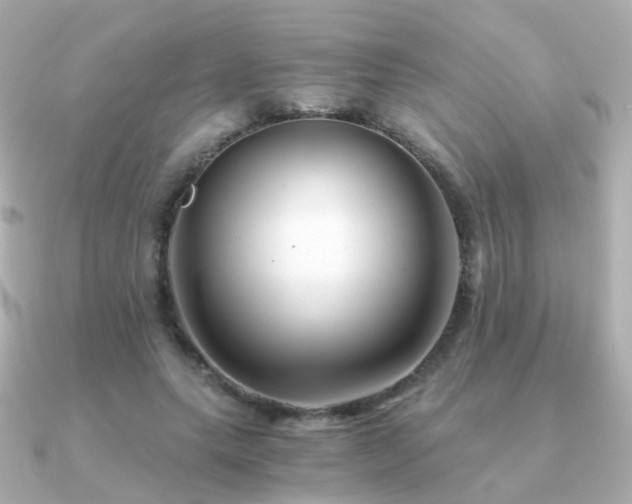 X0000091340639200708101444
