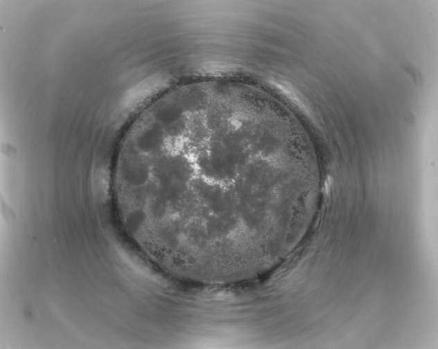 X0000091340640200708101444