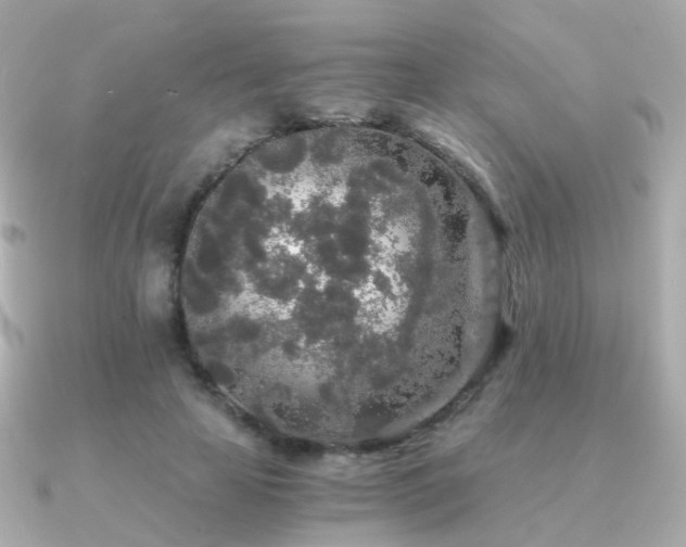 X0000091340641200708101444