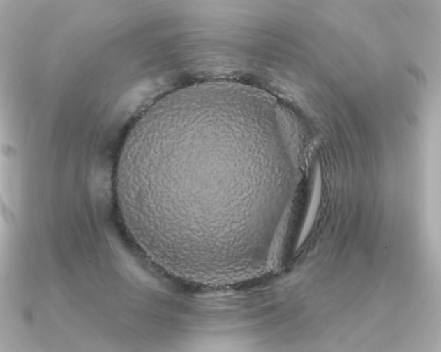 X0000091340642200708101444