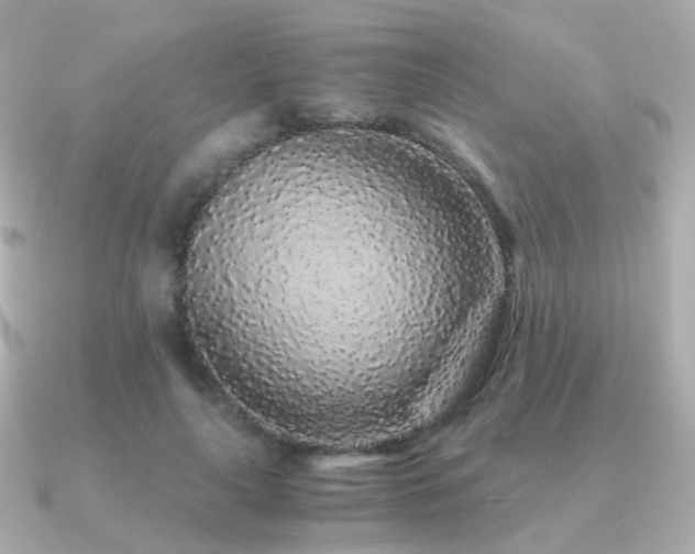 X0000091340643200708101444