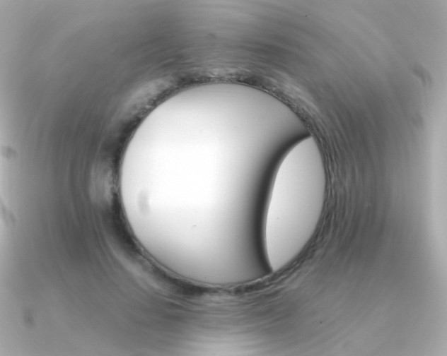 X0000091340644200708101444