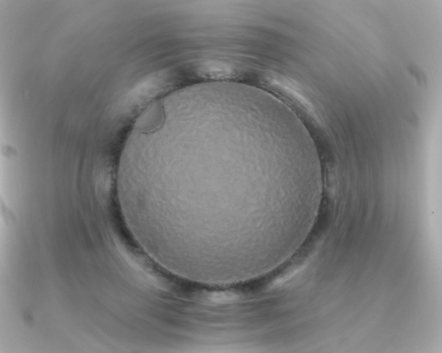 X0000091340645200708101444