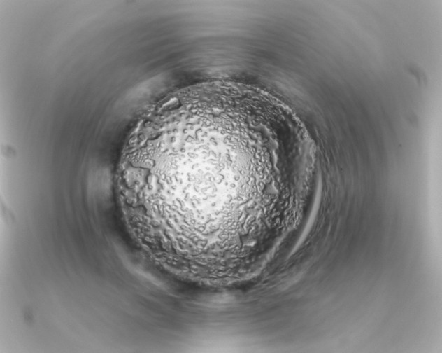 X0000091340646200708101444