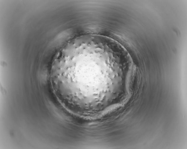 X0000091340647200708101444