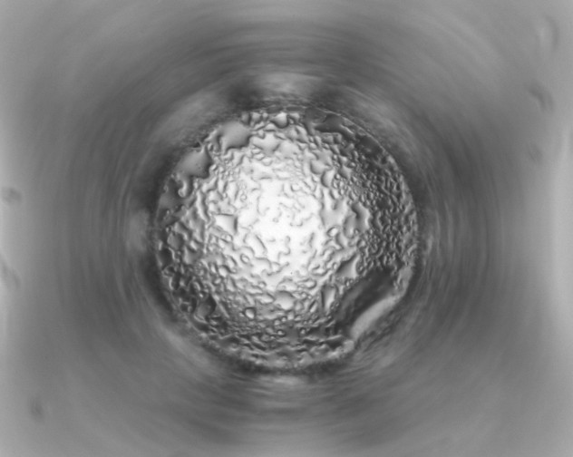 X0000091340649200708101444