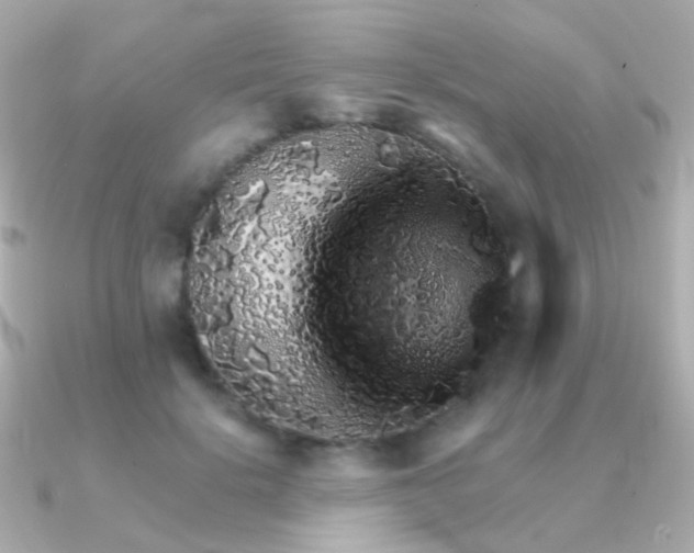X0000091340652200708101444